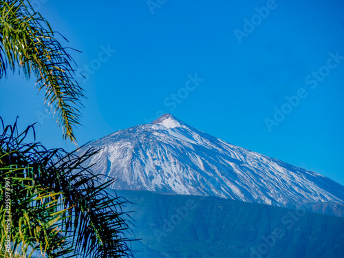 View of Mount Teide from La Matanza. On the left side of the picture are some palm fronds (Syagrus romanzoffiana).