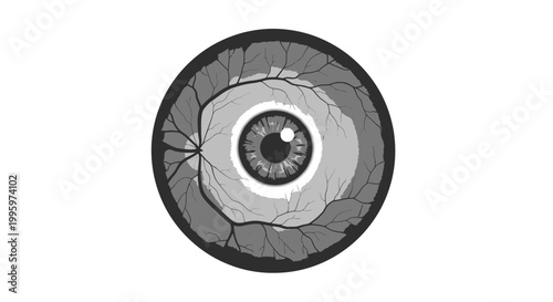 Detailed human eyeball illustration in grayscale with visible blood vessels.