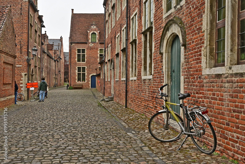 Lovanio (Leuven), case, strade e costruzioni dell'antico Beghinaggio (Groot Begijnhof Leuven), Fiandre,  Belgio
