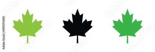 Maple leaf icon isolated on transparent background. maple leaf transparency logo concept. maple leaf sign. flat style. vector  Illustration . EPS 10 .