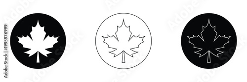 Maple leaf icon isolated on transparent background. maple leaf transparency logo concept. maple leaf sign. flat style. vector  Illustration . EPS 10 .