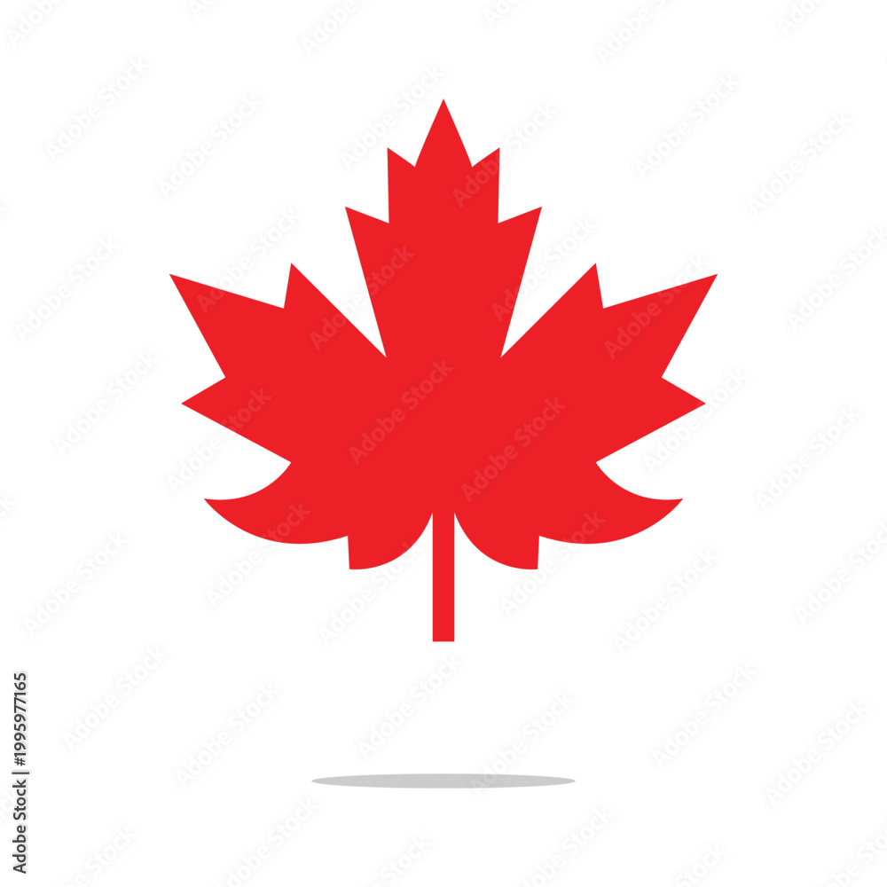 Fototapeta premium Maple leaf icon isolated on transparent background. maple leaf transparency logo concept. maple leaf sign. flat style. vector Illustration . EPS 10 .