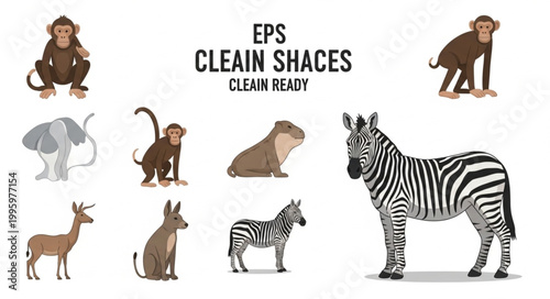 Collection of African Wildlife Animals Vector Illustrations.