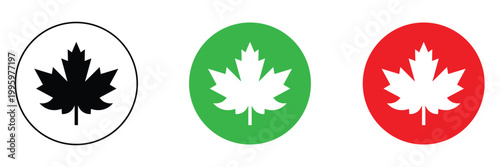 Maple leaf icon isolated on transparent background. maple leaf transparency logo concept. maple leaf sign. flat style. vector  Illustration . EPS 10 .