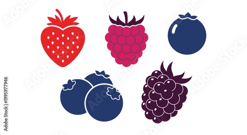 Colorful illustration of assorted berries.
