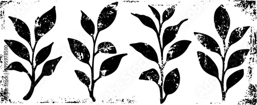 black and white botanical leaves pattern four grunge plant sprigs nature texture background design