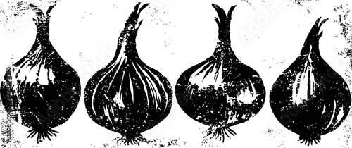Four onions with roots and stems hand drawn black and white vegetable sketch