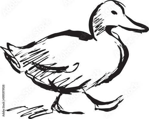Hand drawn sketch of a walking duck, simple black ink illustration of waterfowl in motion
