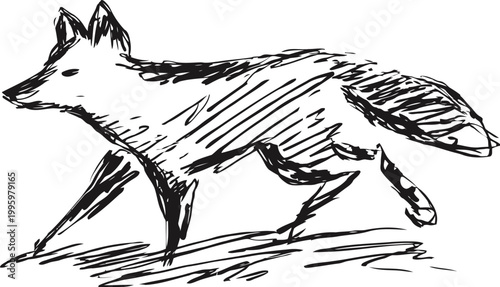 Sketch of a running fox in black ink with dynamic stroke lines, wildlife animal illustration