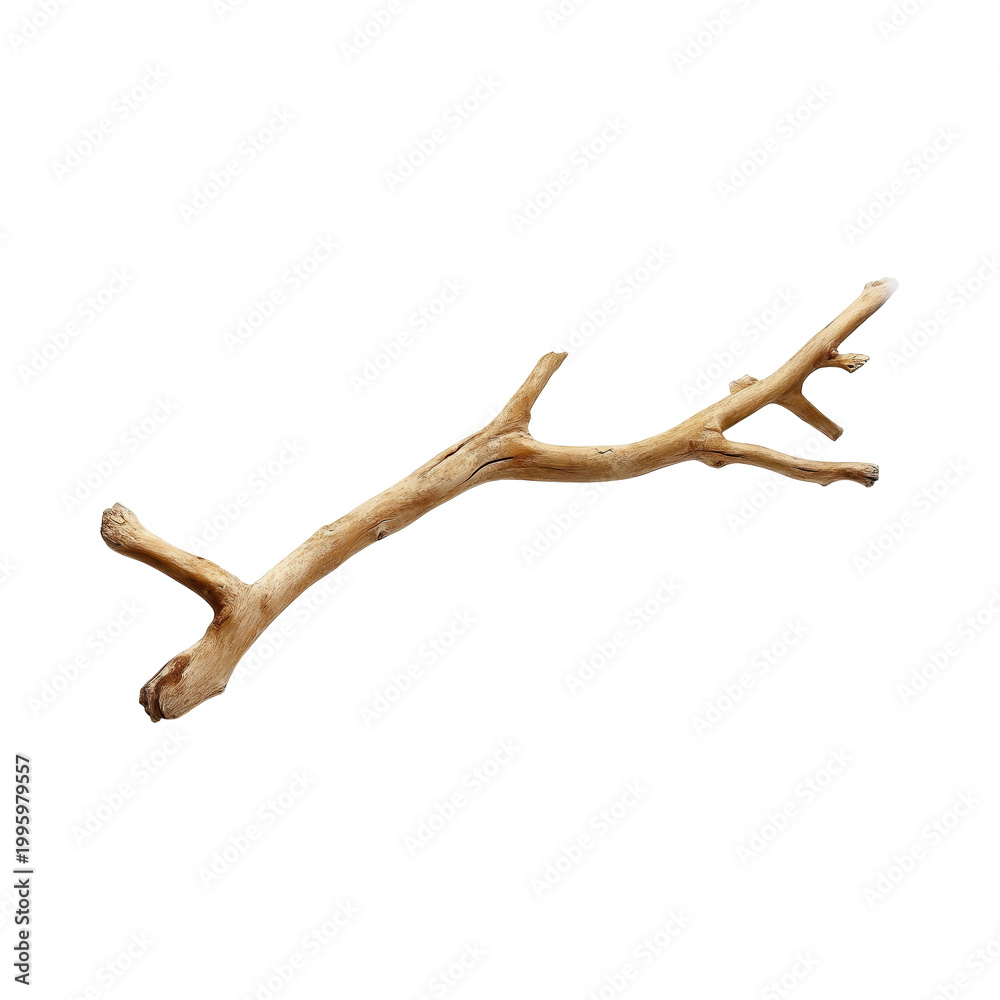 Fototapeta premium Natural decorative driftwood branch isolated on a transparent background for creative design