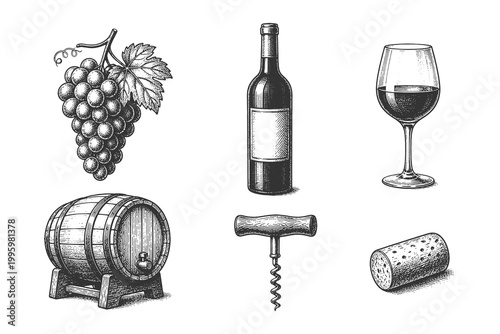 Professional vineyard and winemaking tool set including grapes, wine bottle, corkscrew, and barrel in a detailed vintage engraving vector style.