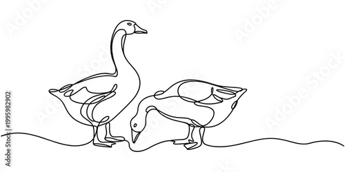 Domestic goose continuous one line drawing,Duck in continuous line art drawing style. Abstract duck walking minimalist, One continuous single drawing line art flat doodle animal, bird, goose, feather.