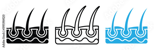 Hair follicle anatomy icons in black, White and blue for skin and hair care concepts