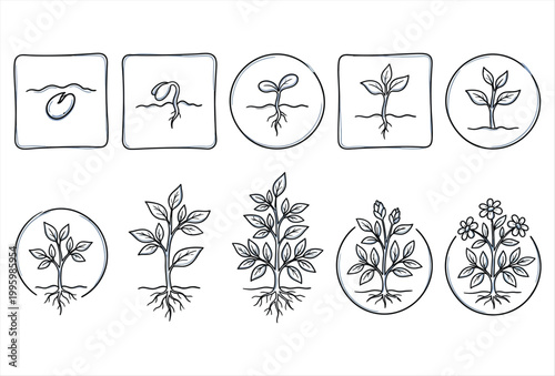 Plant Growing Icon Set – Hand Drawn Growth Nature Vector