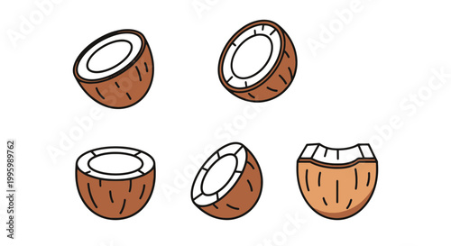 Coconut Half Line art vector simple abstract colorful illustration