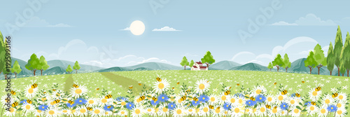 Spring field with fluffy cloud on blue sky,Cute cartoon panorama rural landscape green grass with honey bee collecting pollen on flowers in sunny day Summer,Vector background banner for Springtime