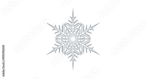 Detailed Crystal Snowflake Ice Crystal.