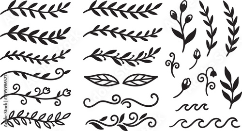 Collection of black handdrawn botanical elements and decorative swirls for design