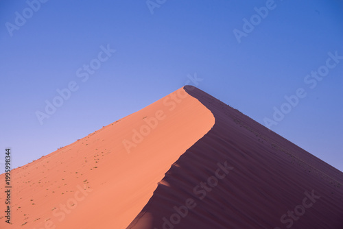 A solitary Acacia tree standing against the vast landscape of Namibia, its flat canopy silhouetted under the open sky of the African savanna.