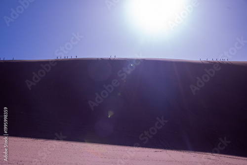 A solitary Acacia tree standing against the vast landscape of Namibia, its flat canopy silhouetted under the open sky of the African savanna.
