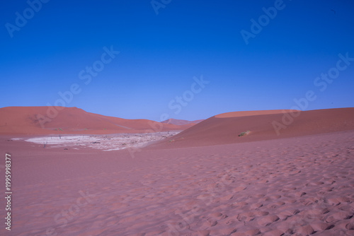 A solitary Acacia tree standing against the vast landscape of Namibia, its flat canopy silhouetted under the open sky of the African savanna.