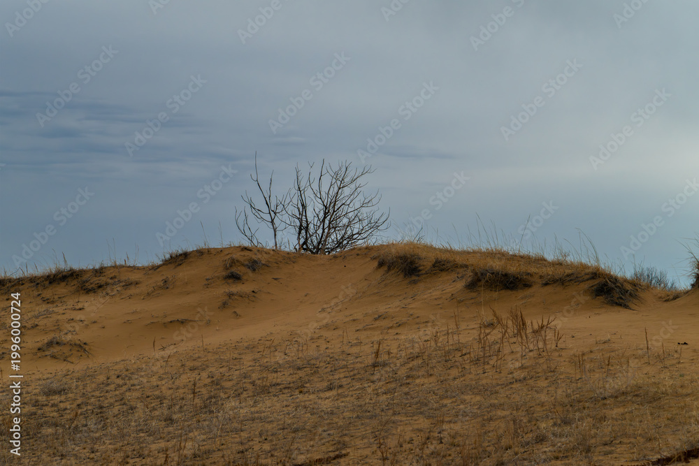 Naklejka premium Saskatchewan sand dunes in the spring
