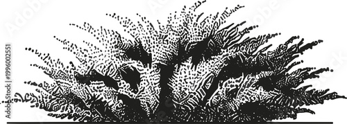 Illustration of a large tree