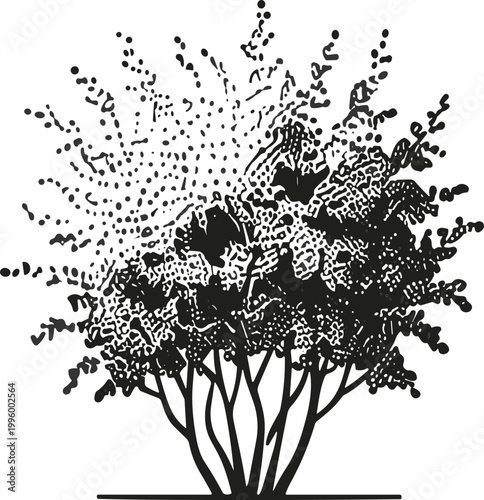 Black illustration of blooming tree