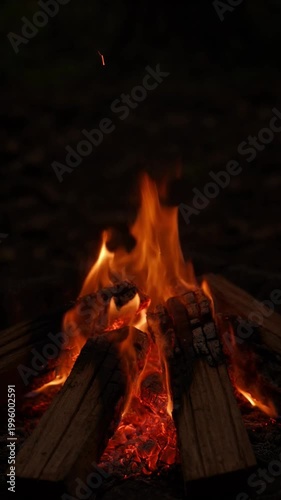Warm Campfire Flames Burning at Night