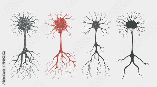 Artistic depiction of four stylized neurons with various textures and colors against a light gray background