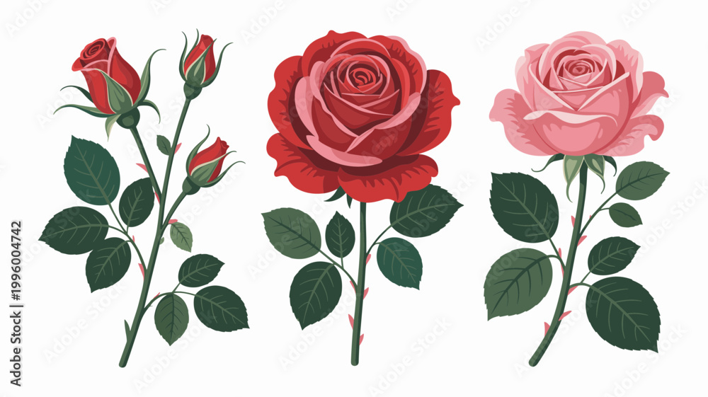 Fototapeta premium Elegant Rose Flowers Vector Set Red and Pink Roses with Green Leaves