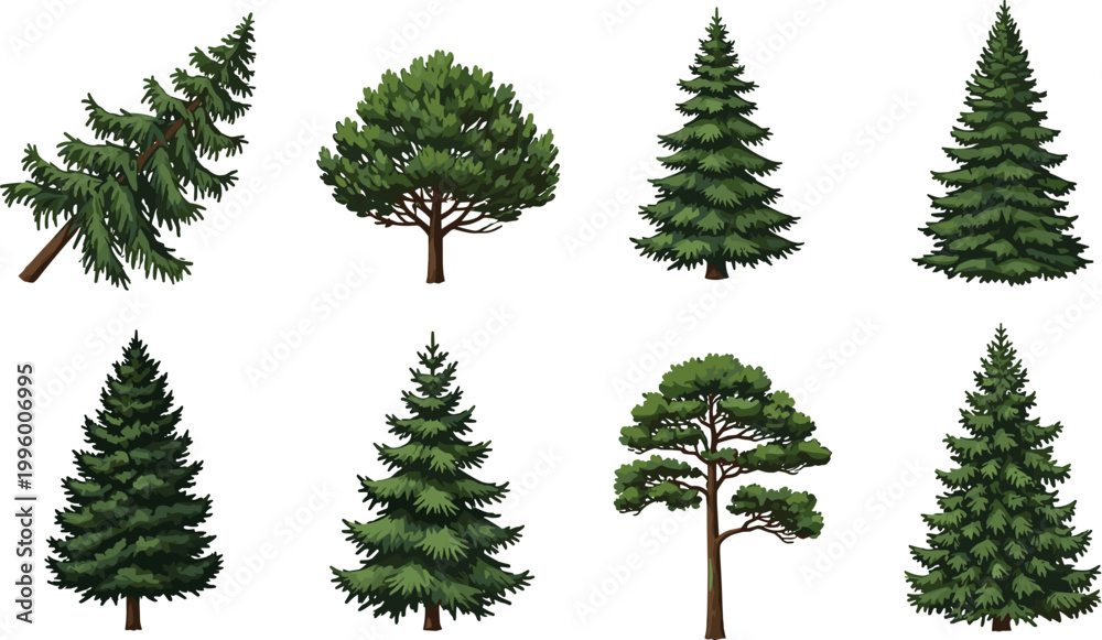 Fototapeta premium Collection of Realistic Pine and Fir Tree Vector Illustrations for Forest Landscapes, Outdoor Adventure Designs, Architectural Visualization, and Environmental Nature Projects