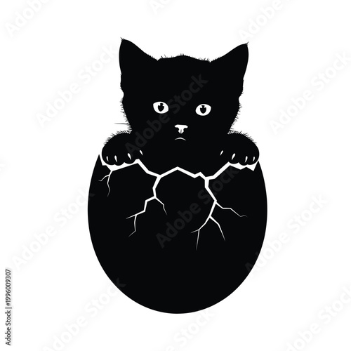 Black Cat Emerging from Egg 2.