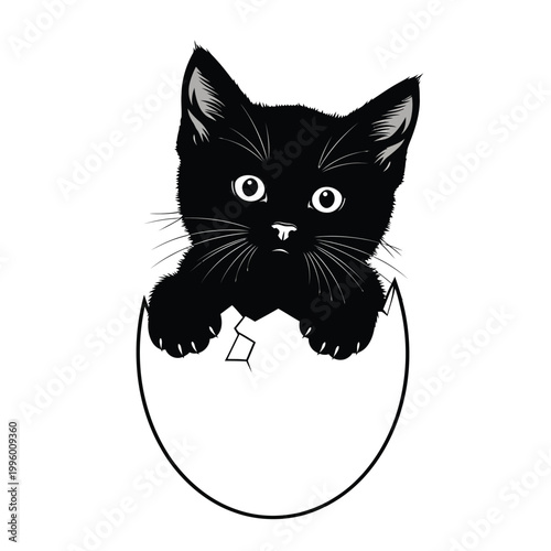 Black Cat Emerging From Egg 6.