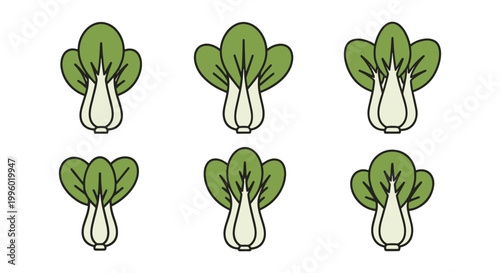 Bok Choy Line art vector set vibrant abstract color