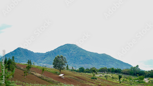 A serene rural landscape featuring a lush green mountain under a bright sky, with farmland in the foreground and scattered trees across the countryside.