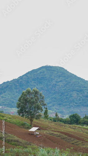 A serene rural landscape featuring a lush green mountain under a bright sky, with farmland in the foreground and scattered trees across the countryside.