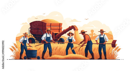Farmers harvesting wheat with a combine harvester in a sunny field.
