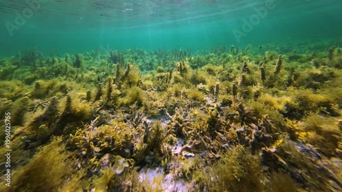 열대 바다 속 아름다운 모습