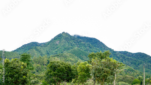 A serene rural landscape featuring a lush green mountain under a bright sky, with farmland in the foreground and scattered trees across the countryside.