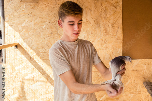 Young pigeon breeder carefully holds a bird in his hands