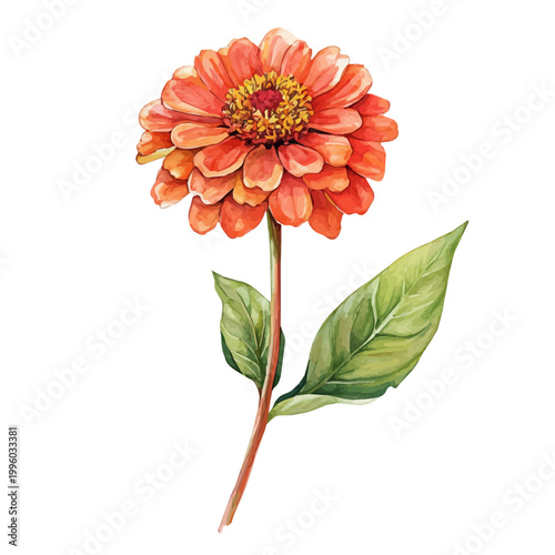 Принти на полотні watercolor of Zinnia Branch graphic, isolated on a white background