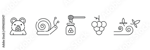 Autumn Harvest and Thanksgiving Icon Set: Seasonal Nature Symbols.