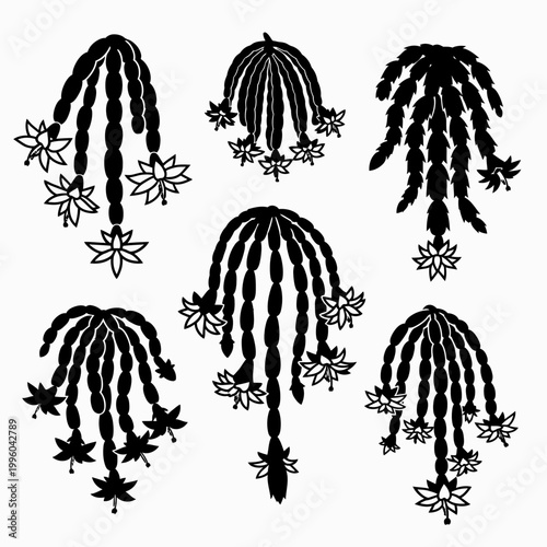 Black Silhouette Cactus Flowers Falling Branches Vector Illustration