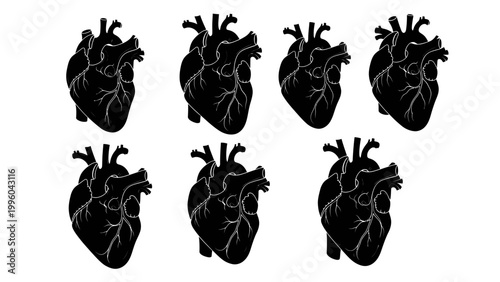 Multiple Black Anatomical Hearts Isolated on White Background