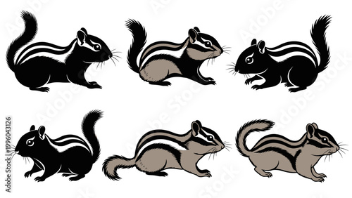 Chipmunk Illustration Set: Black and Tan Variations