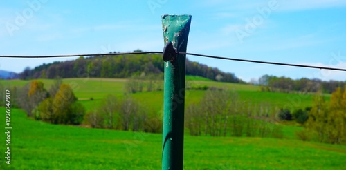 Konstfotografi Metalowy zielony palik ogrodzeniowy z przewodem elektrycznym na terenie pastwiska