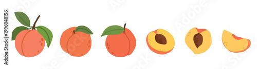 Horizontal set showing the stages of a peach from whole fruit to half and slice. Fresh summer fruit icons for juice packaging, jam labels, or dessert menus