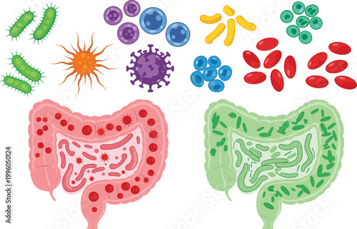 Human Digestive System Concept with Bacteria and Microorganisms in Gut Illustration