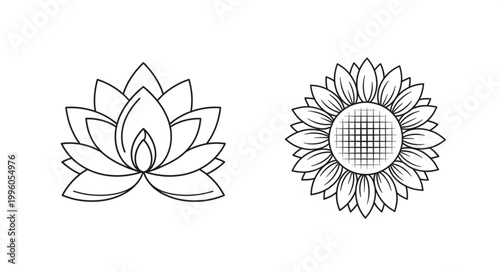 Line art drawing of a lotus flower and a sunflower.